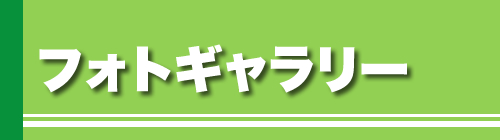 tHgM[
